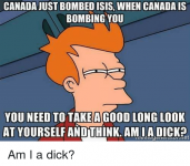 canada-just-bombed-isis-when-canada-is-bombing-you-you-2036808.png