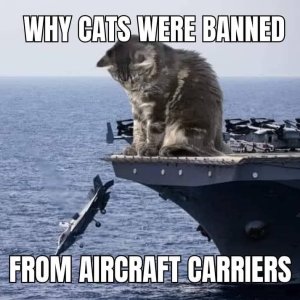 why_cats_banned_from_carriers_img_7882_2414536cd15e72c02c5398085bd55f11e66a9ba2.jpg