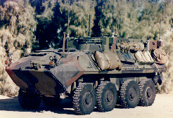 lav-c2.jpg